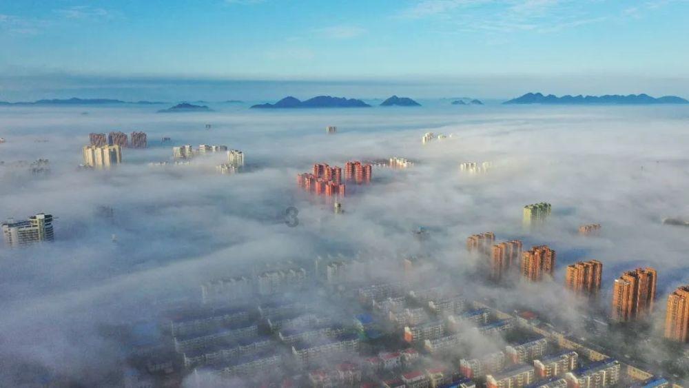 制曲的温度不同，酿出的酒有何不同？